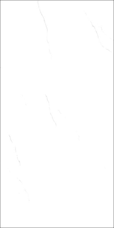 奥雷莉亚白